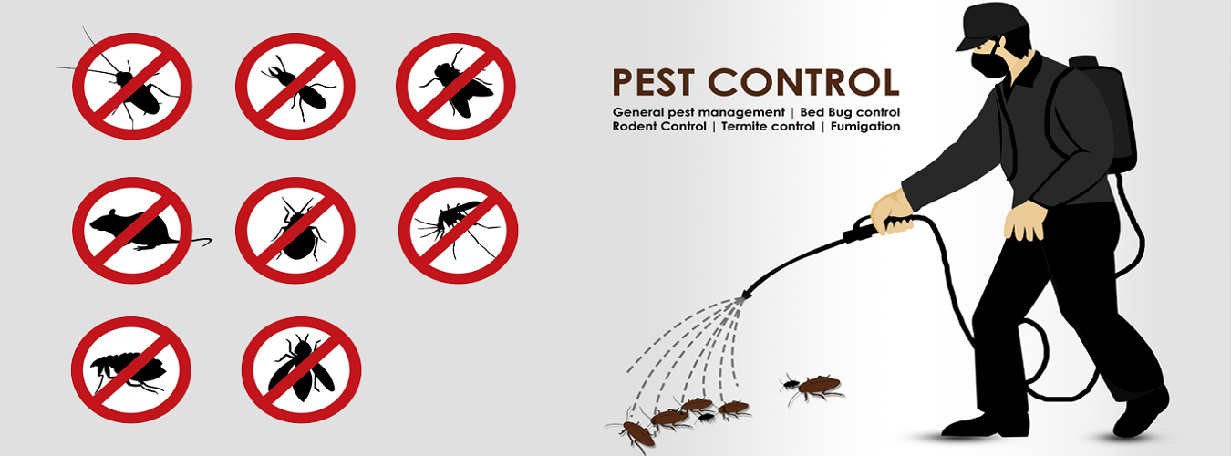 Pest Control services Lucknow