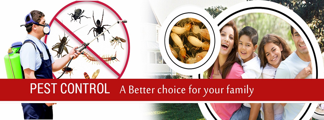 Pest Control Service Provider in Lucknow