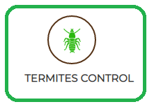 Cockroaches Control Services