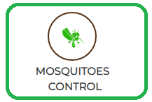 Mosquitoes Control Services